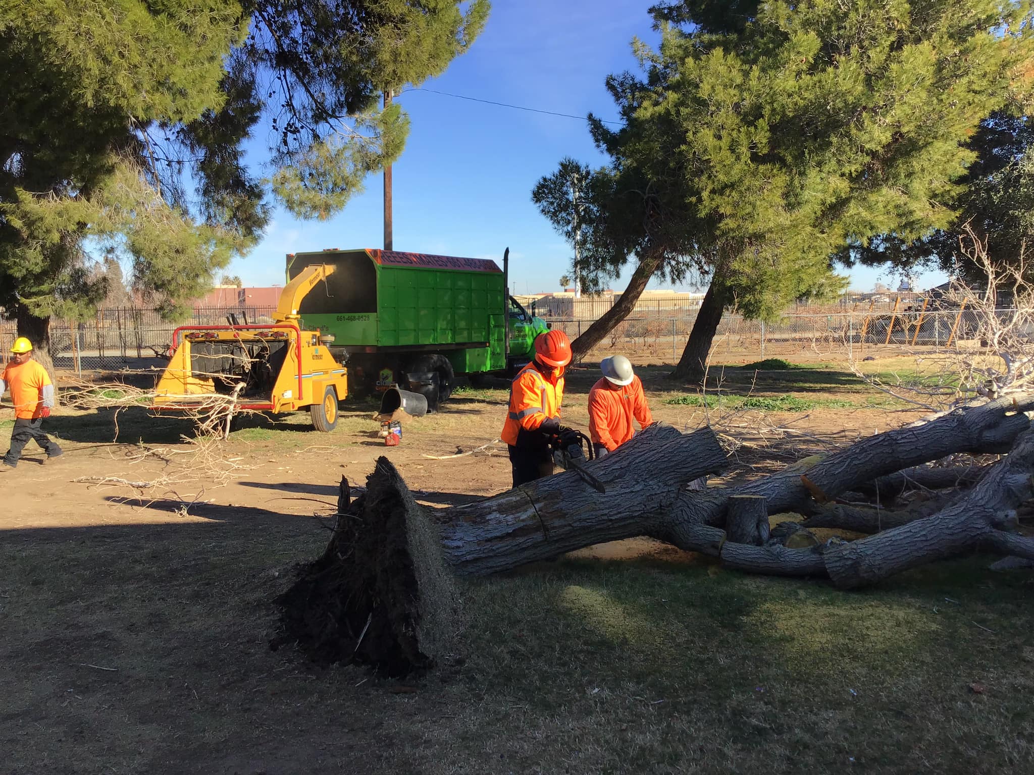 Stump grinding equipment in action