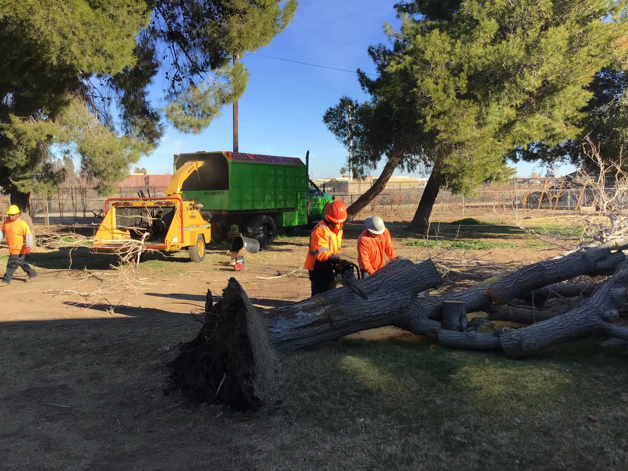Tree Removal service by Chad's Chippers