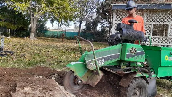 Stump Grinding & Removal service by Chad's Chippers