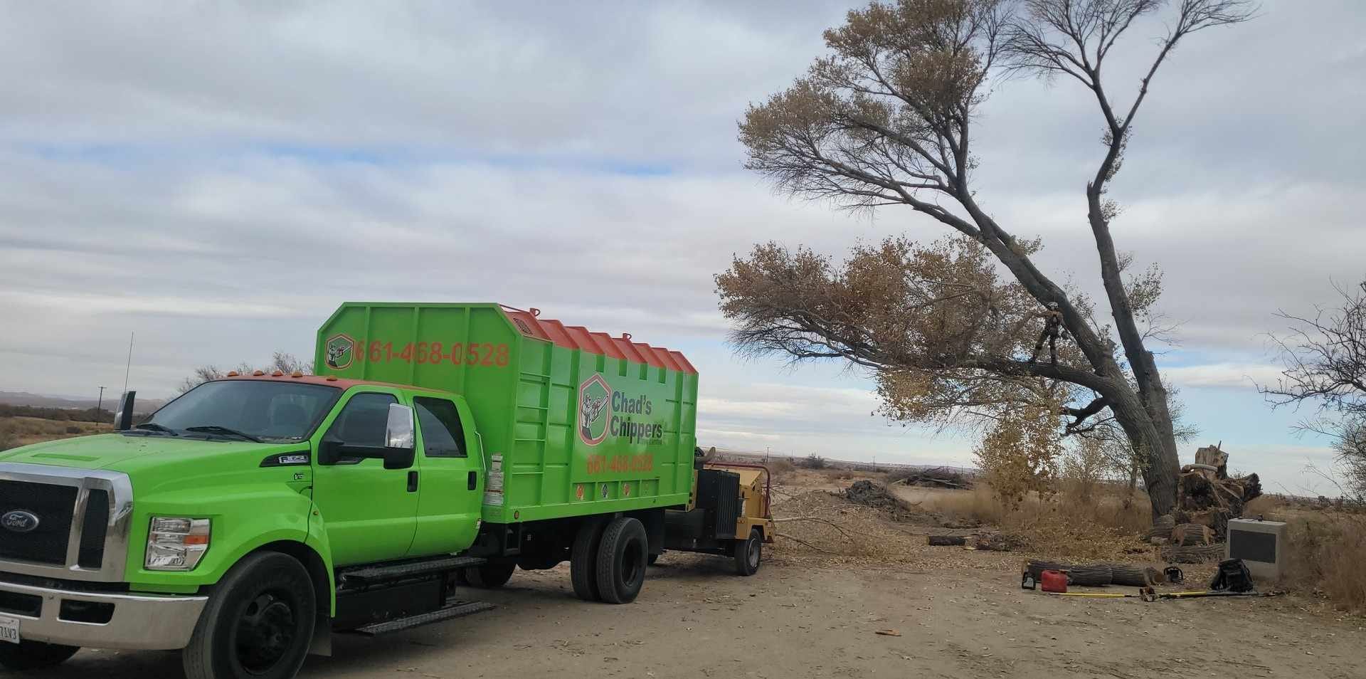 Professional tree trimming service