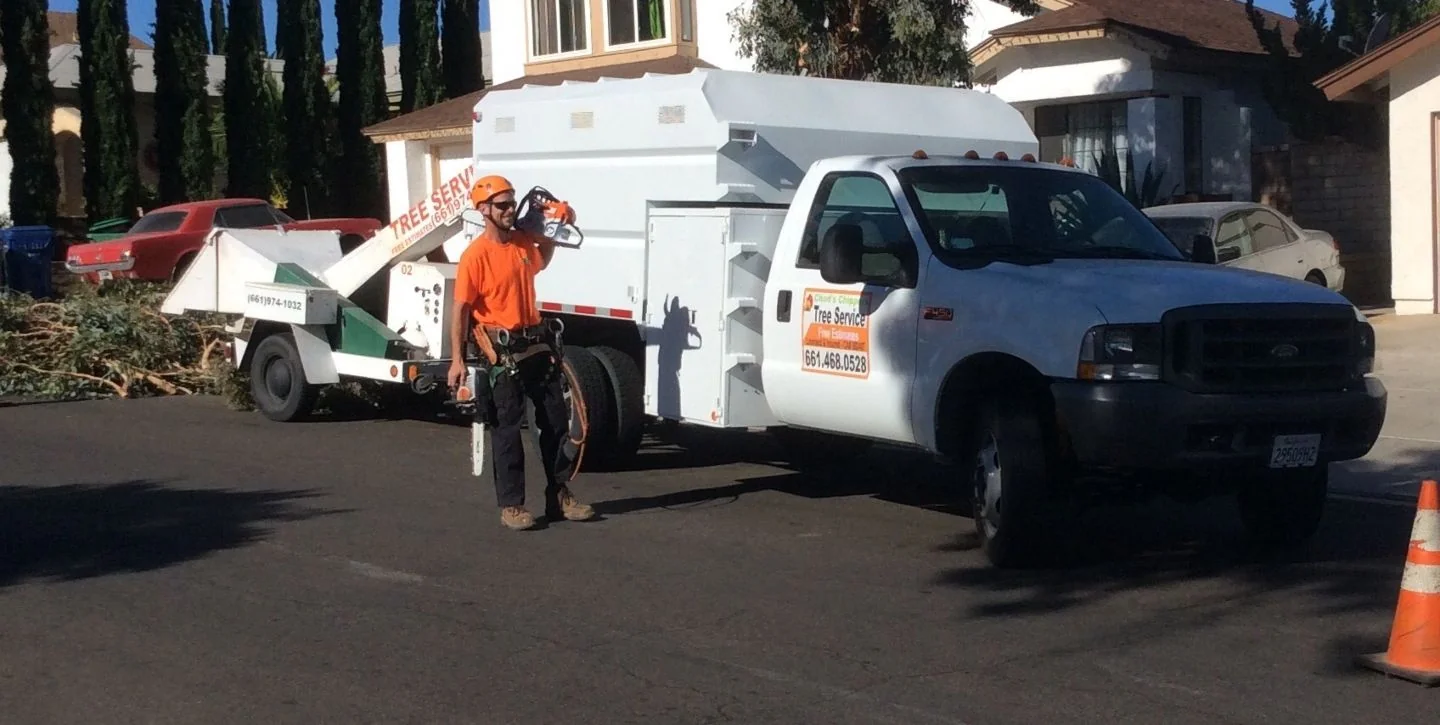 Tree service experts providing answers to common questions